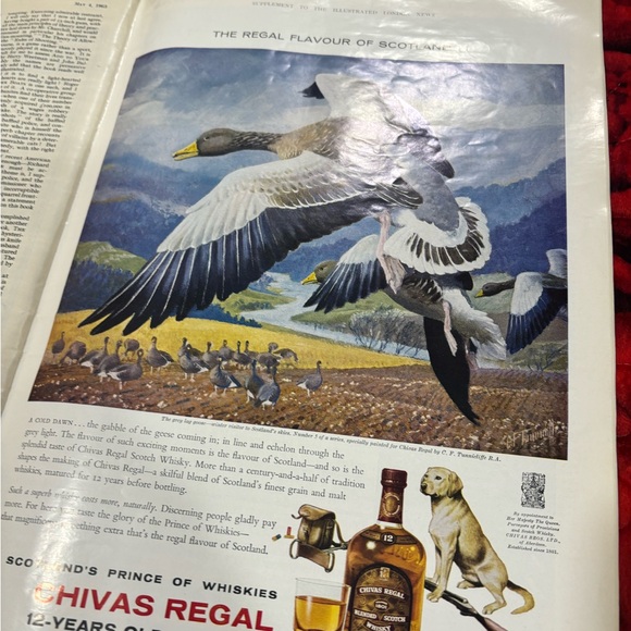 1963 The Illustrated London News volume 242 - Picture 8 of 17